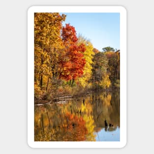 Autumn Glow in Moraine State Park of Pennsylvania Sticker